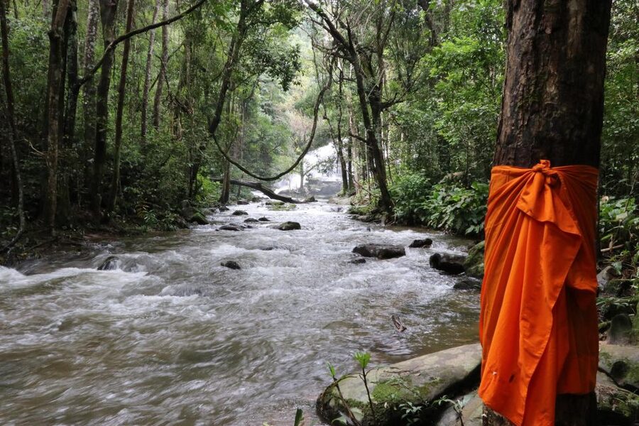 Chiang Mai: Doi Inthanon Highlights Small Group Tour - Who this tour suits best (and who should pass)