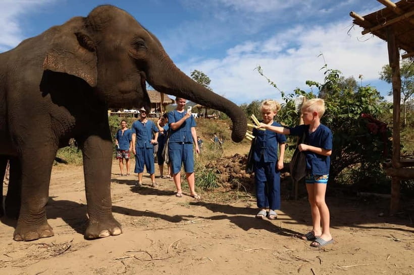 Chiang Mai: Doi Inthanon Hiking & Elephant Sanctuary Program - Key highlights worth planning for