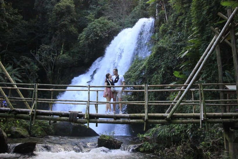 Chiang Mai: Doi Inthanon Hiking & Elephant Sanctuary Program - Twin Pagodas and botanical gardens: calm stops that make the day feel complete