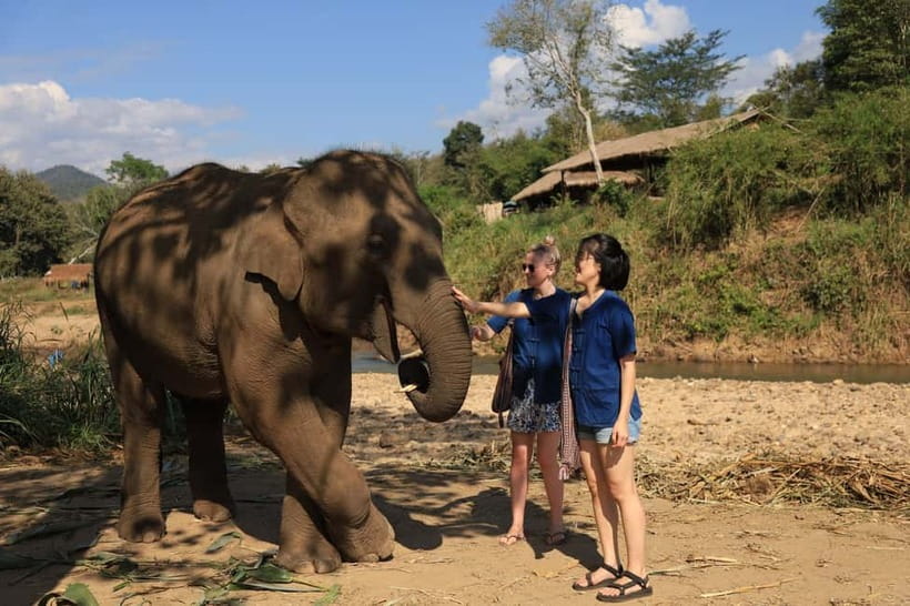 Chiang Mai: Doi Inthanon Hiking & Elephant Sanctuary Program - The day’s food and clothing setup (Pad Thai, plus elephant gear)