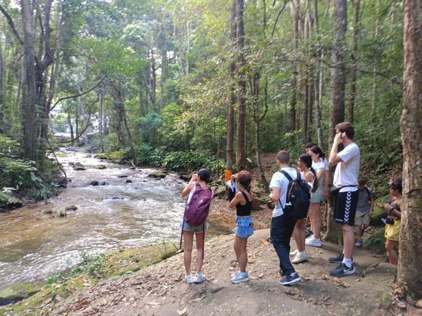 Chiang Mai: Doi Inthanon Hiking & Elephant Sanctuary Program - Price and value: what $56 gets you, and what it doesn’t