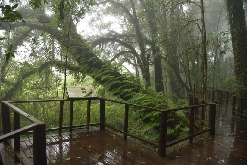 Chiang Mai: Doi Inthanon National Park and Kew Mae Pan Tour - Wachirathan Waterfall: finishing with cool mist and jungle power