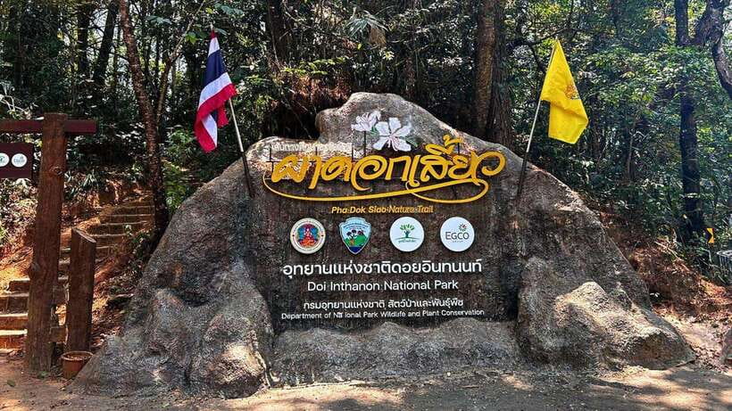 Chiang Mai: Doi Inthanon National Park and Pha Dok Siew Trek - Pick-Up, Van Rides, and the Timing Jigsaw