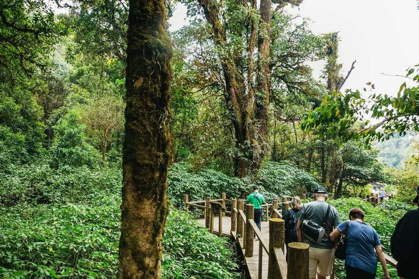 Chiang Mai: Doi Inthanon National Park Eco-Friendly Tour - Key highlights at a glance