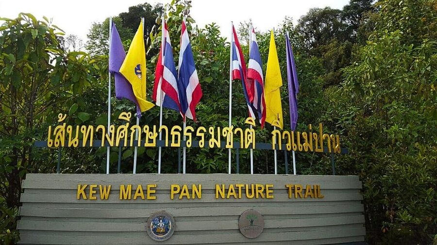 Chiang Mai:Doi Inthanon National Park & Hike at Kew Mae Pan - What to pack for Doi Inthanon weather and mist