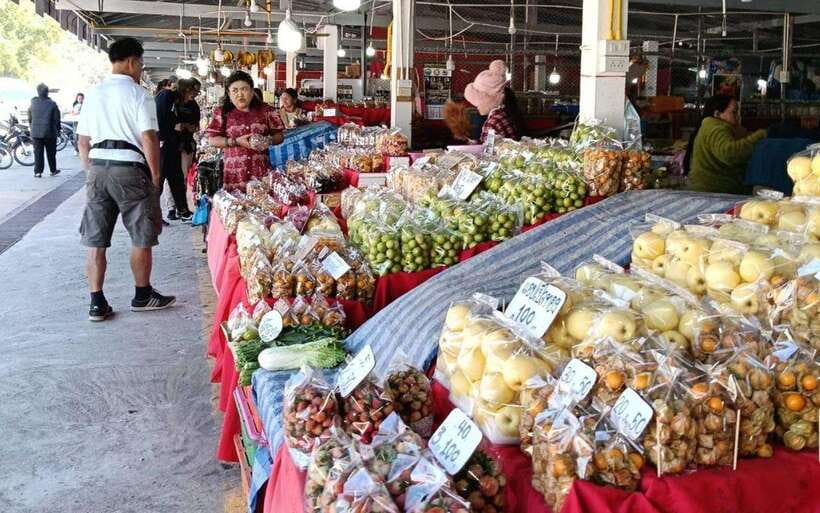 Chiang Mai:Doi Inthanon National Park & Hike at Kew Mae Pan - Price and logistics: where your money and time actually go