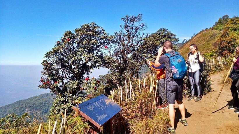 Chiang Mai:Doi Inthanon National Park & Hike at Kew Mae Pan - Doi Inthanon summit: panoramic views and why it matters
