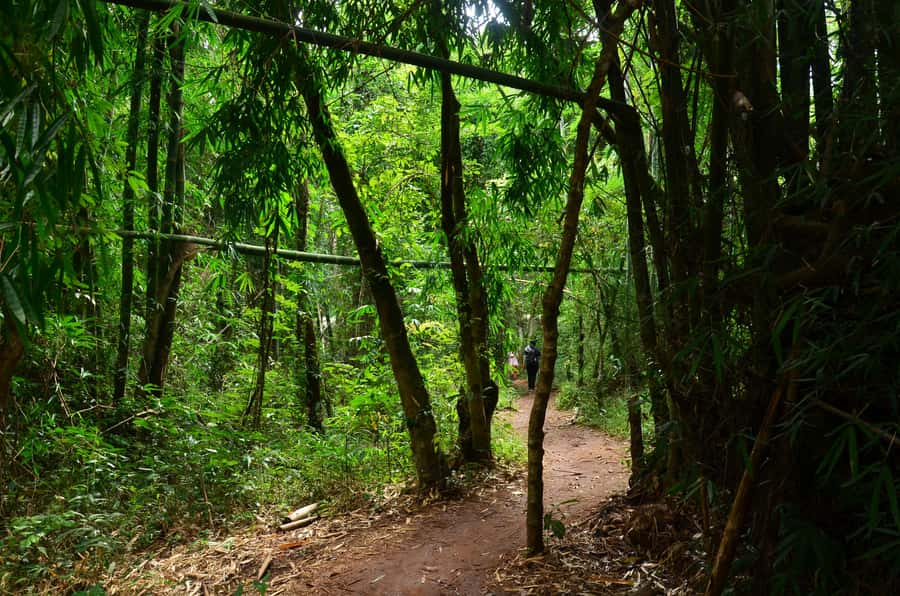 Chiang Mai: Doi Inthanon National Park Private Tour - Karen Hill Tribe village & market: what to look for on the cultural visit
