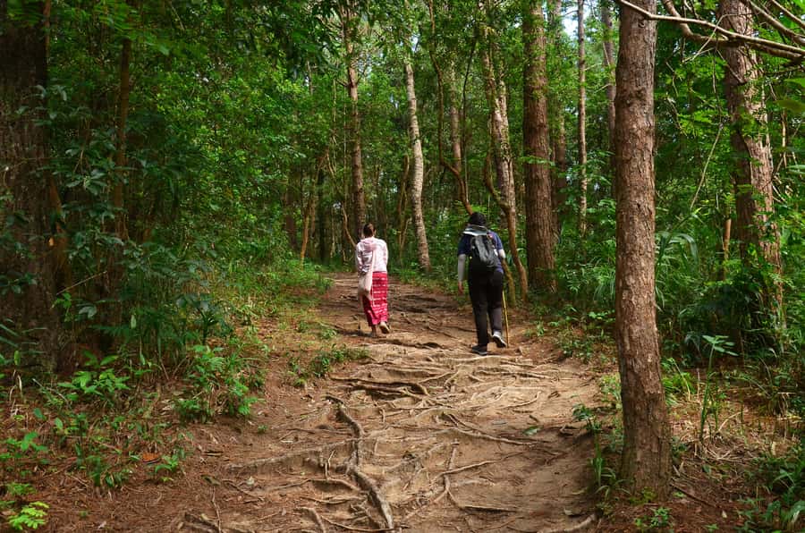Chiang Mai: Doi Inthanon National Park Private Tour - Lunch and snacks inside the park: fuel that keeps you moving