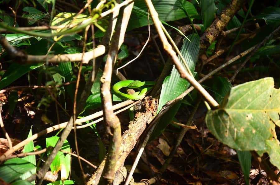 Chiang Mai: Doi Inthanon National Park Private Tour - Price and value: why $144 per person can make sense here