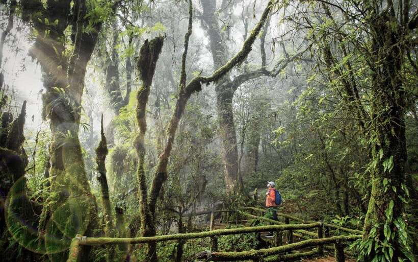 Chiang Mai: Doi Inthanon National Park Sightseeing Only - A Greatest-Hits Day on Doi Inthanon (Without Renting a Car)