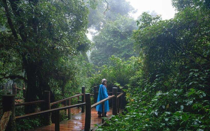 Chiang Mai: Doi Inthanon National Park Sightseeing Only - Waterfalls Time: Sirithan and Wachirathan
