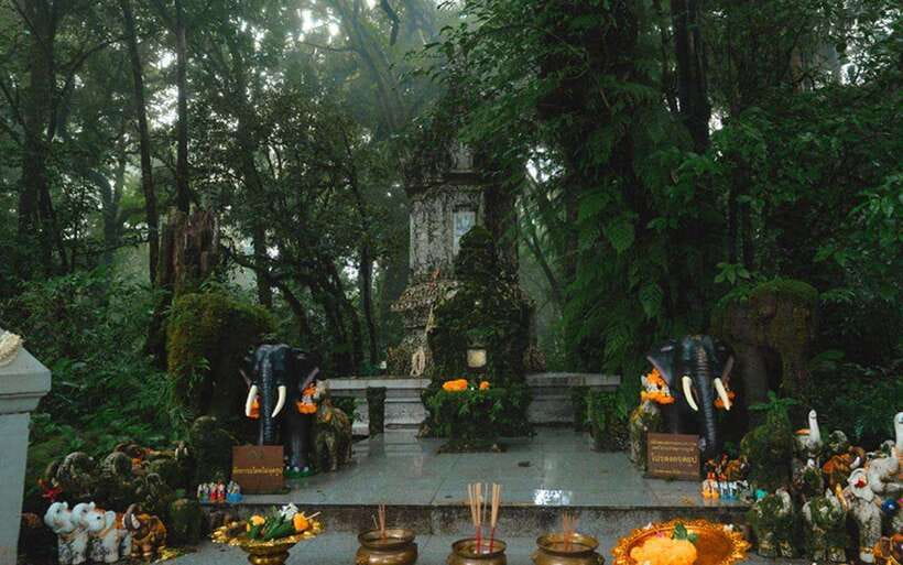 Chiang Mai: Doi Inthanon National Park Sightseeing Only - Lunch and Breaks: How the Tour Keeps the Day Enjoyable