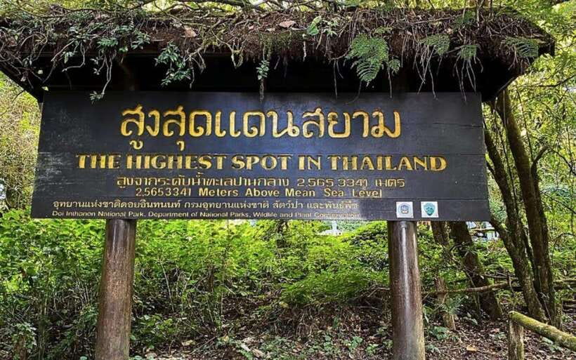 Chiang Mai: Doi Inthanon National Park Sightseeing Only - Hill Tribe Markets and the Ban Mae Klang Luang Coffee/Flower Tea Stop