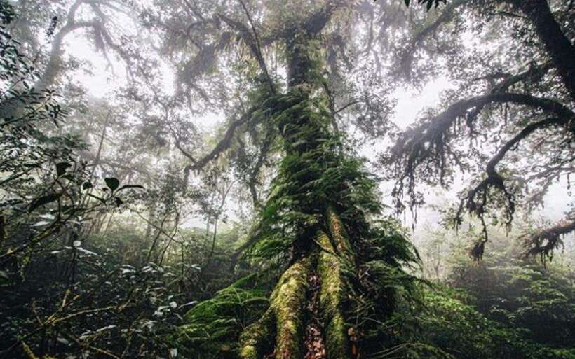 Chiang Mai: Doi Inthanon National Park Sightseeing Only - Price and Entrance Fees: What $39 Really Buys
