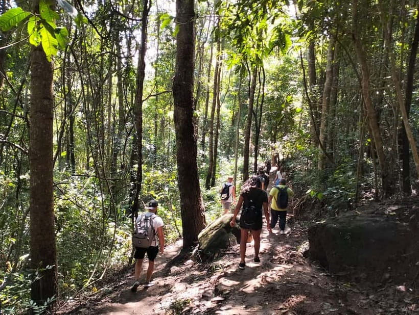 Chiang Mai: Doi Inthanon National Park+Trek Pha Dok Siew - Rak Jung Waterfall: plan for the swim, not the guarantee