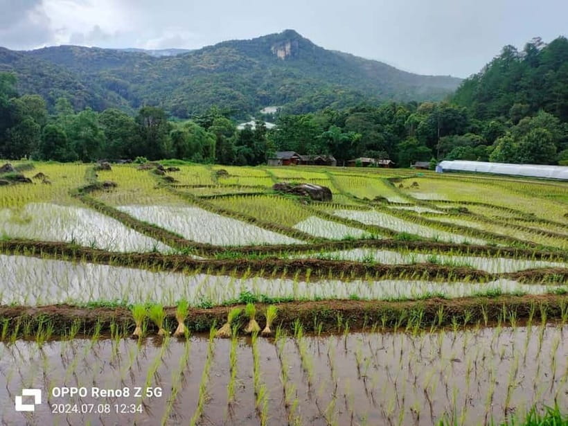 Chiang Mai: Doi Inthanon National Park+Trek Pha Dok Siew - Hmong Market and Wachiratharn Waterfall on the way back