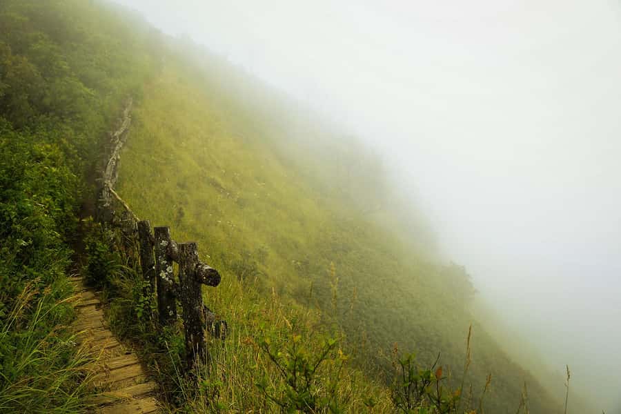 Chiang Mai: Doi Inthanon National Park, Waterfall & Lunch - What you’ll feel and see throughout the day