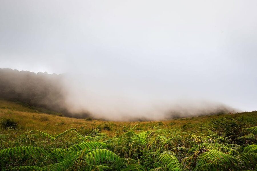 Chiang Mai: Doi Inthanon National Park, Waterfall & Lunch - King and Queen pagodas: the dress code you can’t ignore