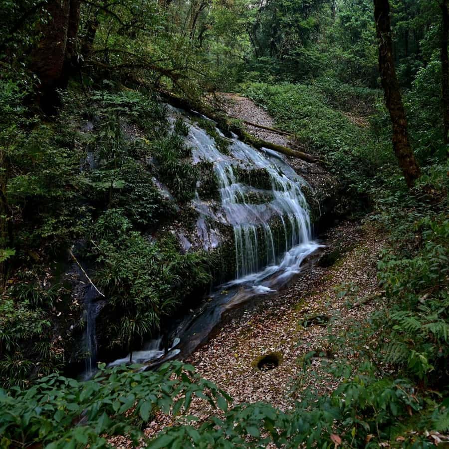 Chiang Mai: Doi Inthanon National Park, Waterfall & Lunch - Lunch in the park area: a set menu that keeps the day moving