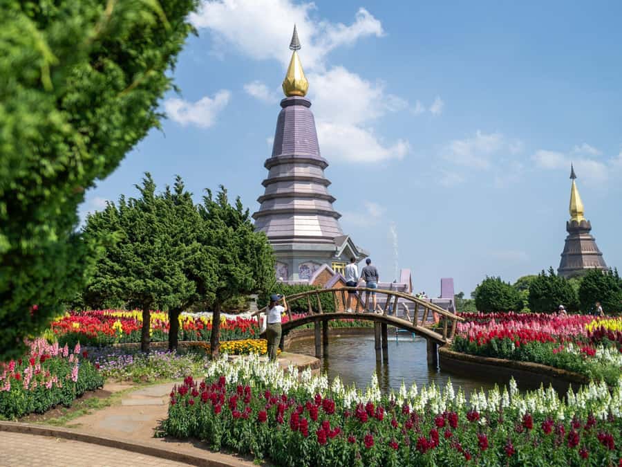 Chiang Mai: Doi Inthanon National Park with Ticket & Lunch - Ang Ka Nature Trail: a short rainforest walk that feels real