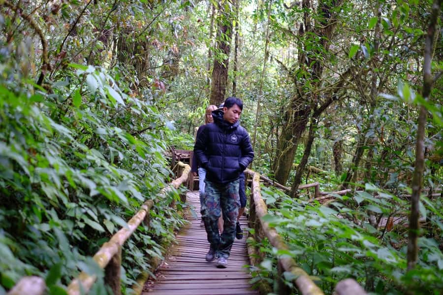 Chiang Mai: Doi Inthanon National Park with Ticket & Lunch - Mae Klang Luang Karen Village: coffee tasting that changes the mood