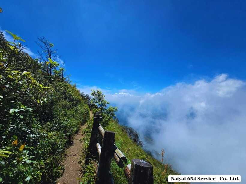 Chiang Mai: Doi Inthanon One-Day Tour with a Private Driver - Ang Ka Nature Trail: Optional, Easy, and Very Photo-Friendly