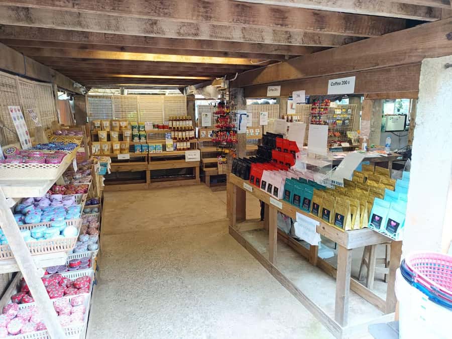 Chiang Mai: Doi Inthanon One-Day Tour with a Private Driver - Price and Group Size: Getting a Private Day for $179