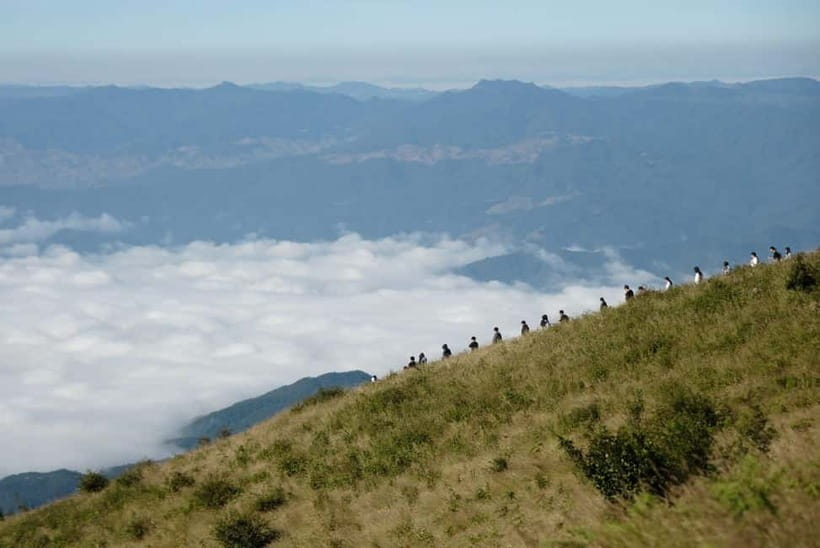 Chiang Mai: Doi Inthanon Park and Kew Mae Pan 2-Hour Hike - King and Queen Pagodas: A Temple Stop With Meaning (and Rules)