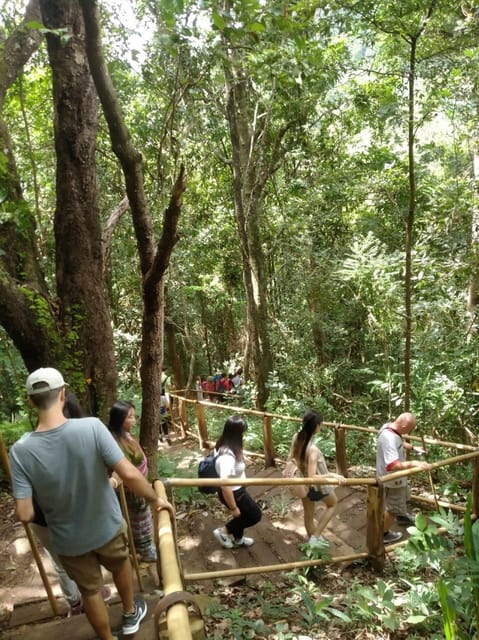 Chiang Mai: Doi Inthanon Park and Pha Dok Siew Hike Day Trip - Pagodas With Monarchy Views: King Bhumibal and Queen Sirikit