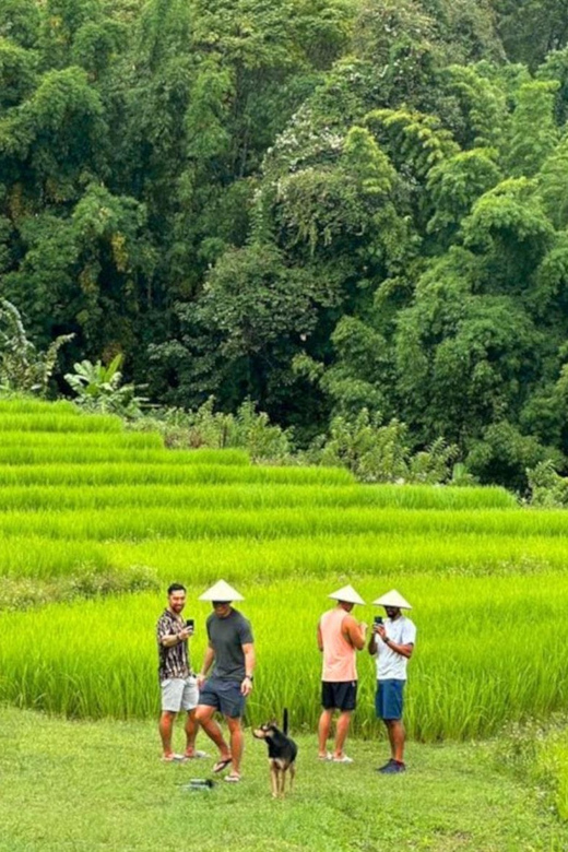 Chiang Mai: Doi Inthanon Park and Pha Dok Siew Trail Trek - Why Doi Inthanon Is Worth the Early Start