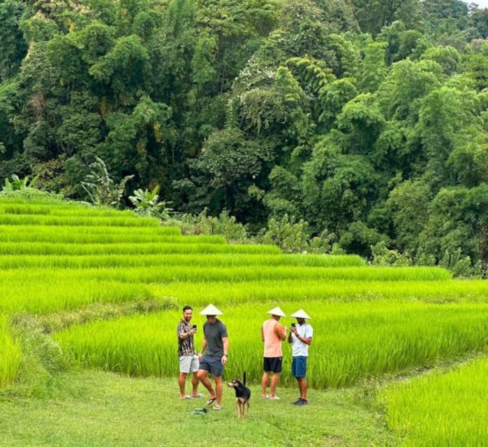 Chiang Mai: Doi Inthanon Park and Pha Dok Siew Trail Trek - Wachirathan Waterfall: The Payoff After the Walking