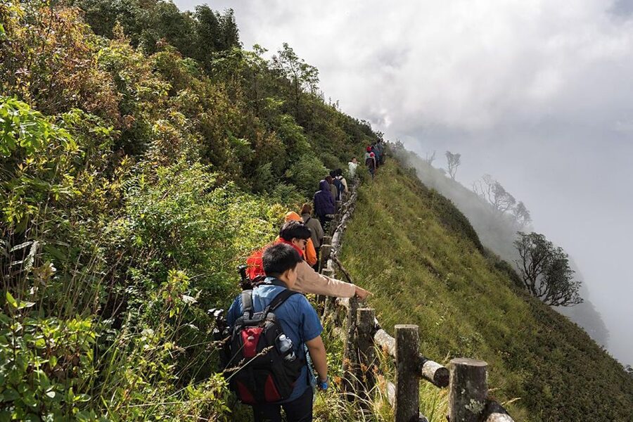 Chiang Mai: Doi Inthanon Park Day Trip with Kiw Mae Pan Hike - The Kew Mae Pan Nature Trail Hike: The Main Event