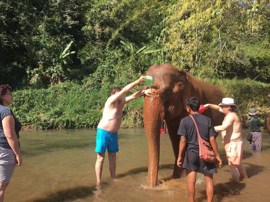 Chiang Mai: Doi Inthanon Park Hiking & Elephants Sanctuary - FAQ