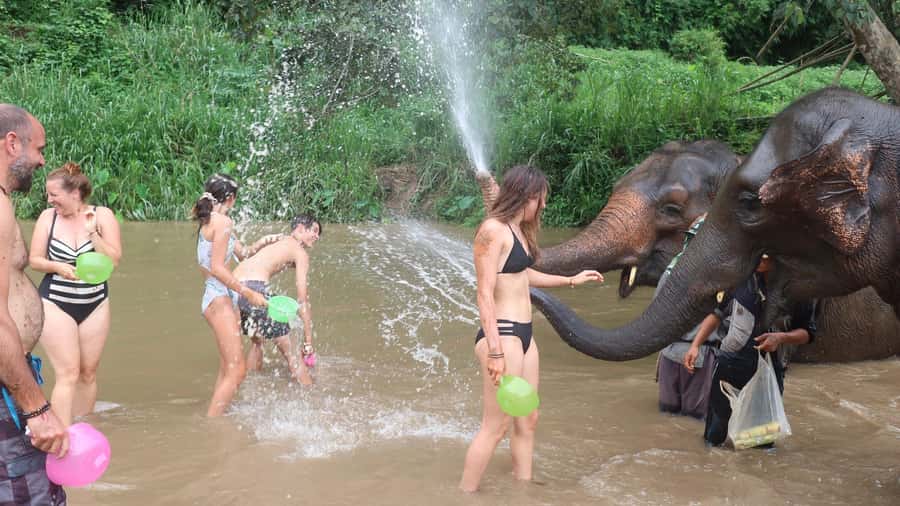 Chiang Mai: Doi Inthanon Park Hiking & Elephants Sanctuary - First stop: an ethical elephant sanctuary, not a show