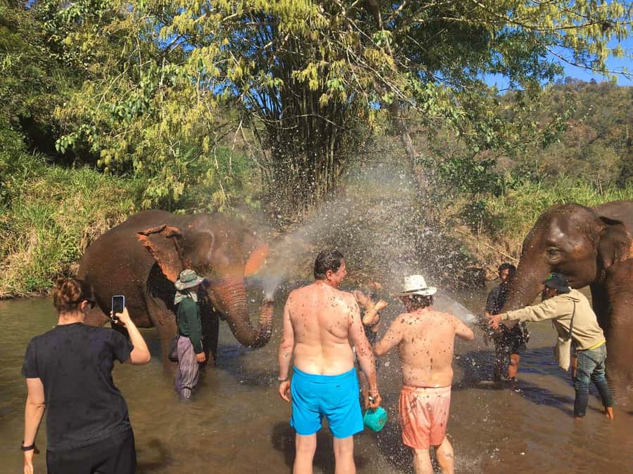 Chiang Mai: Doi Inthanon Park Hiking & Elephants Sanctuary - Timing, pace, and how the small group helps