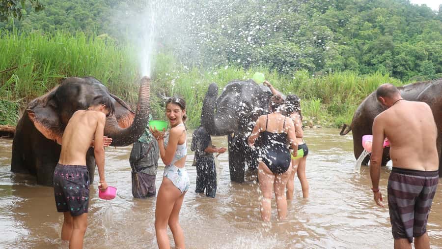 Chiang Mai: Doi Inthanon Park Hiking & Elephants Sanctuary - Price and value: what your $76 actually buys