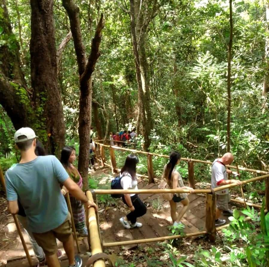 Chiang Mai: Doi Inthanon Park Hiking & Elephants Sanctuary - Who this tour fits best (and who should skip it)