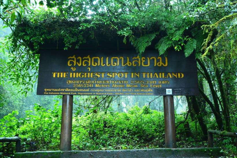 Chiang Mai: Doi Inthanon Park Tour & Kew Mae Pan Trail Hike - Key Things to Know Before You Go