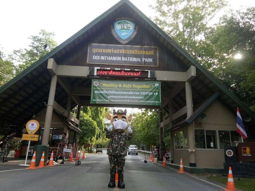 Chiang Mai: Doi Inthanon Park Tour & Kew Mae Pan Trail Hike - Packing, Dress Code, and Comfort Notes You’ll Actually Use