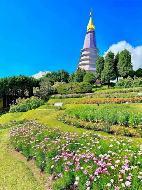 Chiang Mai Doi Inthanon Park Waterfall Pure Sightseeing Tour - Key Things You’ll Notice on This Doi Inthanon Day Trip