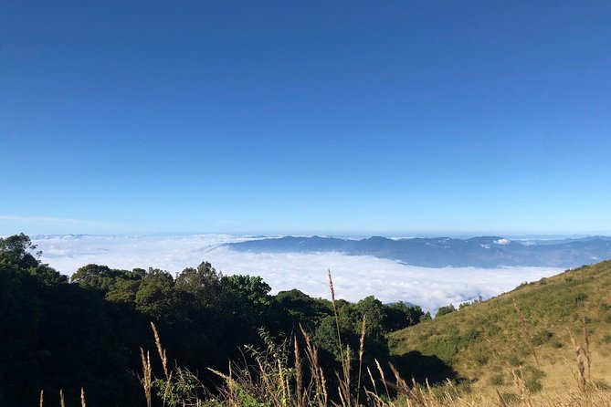 CHIANG MAI: Doi Inthanon-Trekking Keiw Mae Pan-Waterfall-Lunch - Tour logistics: pickup, small group, and the McDonald’s meeting point