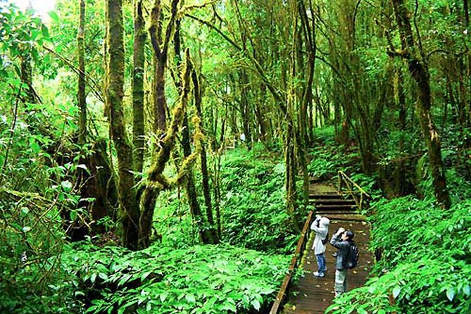 CHIANG MAI: Doi Inthanon-Trekking Keiw Mae Pan-Waterfall-Lunch - The hill-tribe village stops: Hmong and Karen culture on the route