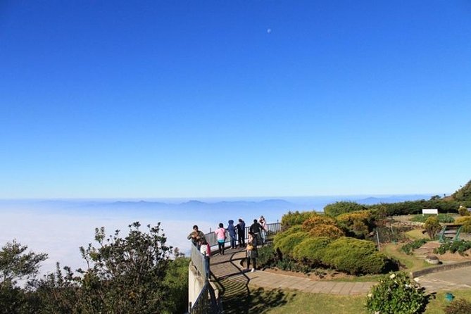 CHIANG MAI: Doi Inthanon-Trekking Keiw Mae Pan-Waterfall-Lunch - Lunch at a local restaurant: why included food is more valuable than it sounds
