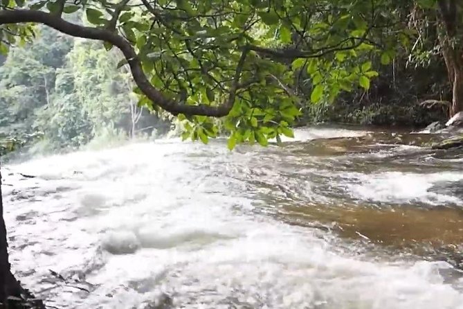 CHIANG MAI: Doi Inthanon-Trekking Pha Dok Seaw-Waterfall-Lunch - Mountain Energy: Getting Picked Up and Staying Comfortable