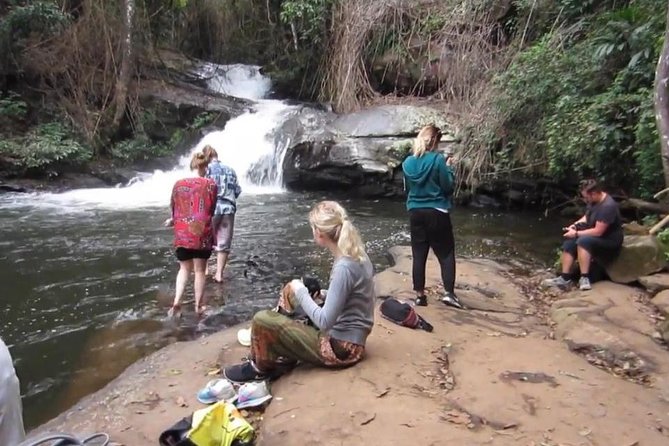 CHIANG MAI: Doi Inthanon-Trekking Pha Dok Seaw-Waterfall-Lunch - Ban Mae Klang Luang: Karen Village Time and Rice Terraces