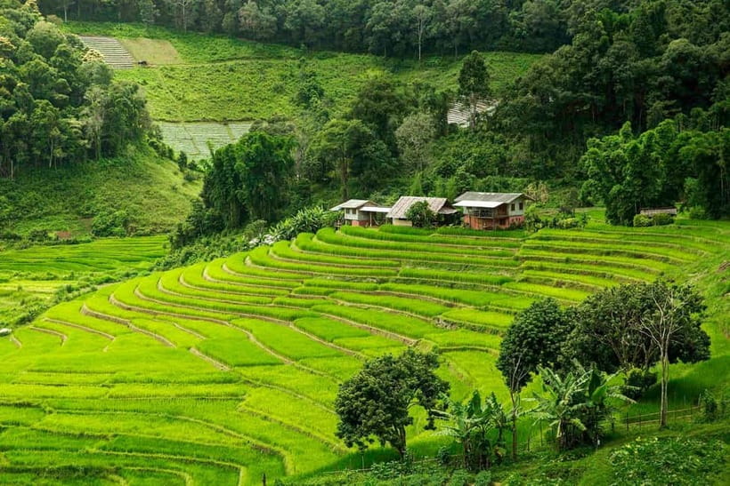 Chiang Mai: Doi Inthanon Trip with Pha Dok Siew Guided Trek - Key things I’d actually plan around on this Doi Inthanon trip