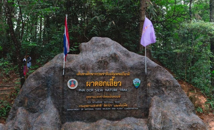 Chiang Mai: Doi Inthanon Trip with Pha Dok Siew Guided Trek - Pha Dok Siew Nature Trail with the Karen guide: the trek that makes the day feel real