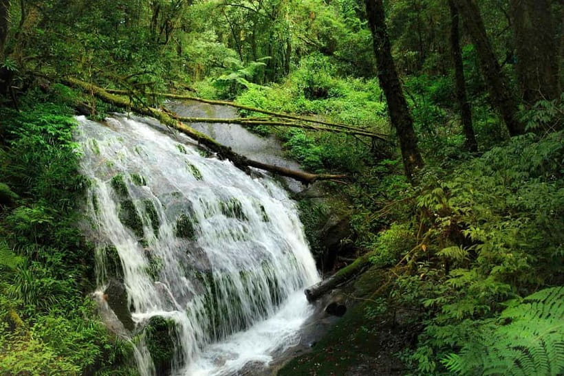 Chiang Mai: Doi Inthanon Trip with Pha Dok Siew Guided Trek - Price and value: what you’re really paying for (including the park fee)