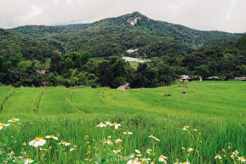Chiang Mai: Doi Inthanon Trip with Pha Dok Siew Guided Trek - How the timing works: a long day, but not a punishing one